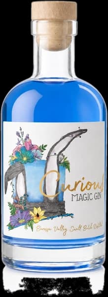 Curious Magic Gin 200ml